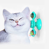 Interactive Cat Training Toy