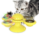 Interactive Cat Training Toy