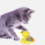 Interactive Cat Training Toy