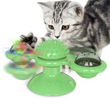 Interactive Cat Training Toy